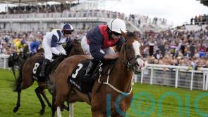 Lady Iman makes light work of Molecomb task