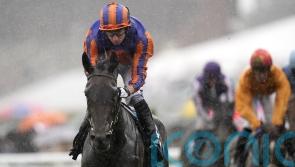 Wonderful Whirl powers to Nassau Stakes glory