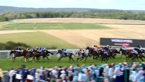 Five jockeys involved in light aircraft drama