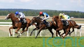 Seagulls Eleven flies home for Thoroughbred triumph