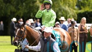 Jm Jungle surprises King George rivals