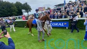 National assignment on the radar for Vintage hero Zavateri