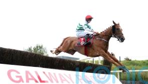 Zanahiyr gets back to winning ways at Galway