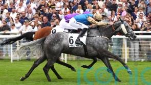 Fallen Angel a Group One winner again in Prix Rothschild