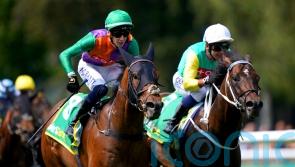 Williams believes Quinault has &lsquo;more to offer&rsquo; at York