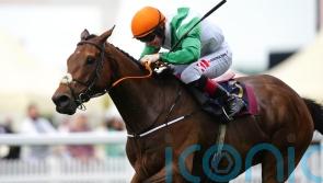 Crystal aiming to sparkle with Ballyroan repeat