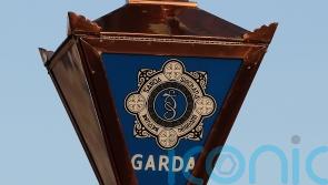 Cannabis plants worth more than 750,000 euros seized in Co Louth