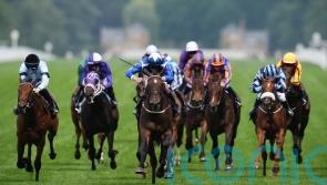 Options home and abroad for promising filly Awaken