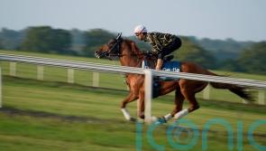 International challenger Danon Decile enjoys gallops spin