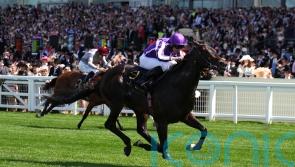 Gstaad ruled out of Phoenix clash