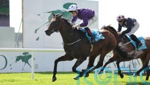 Bucanero Fuerte fends them all off at the Curragh