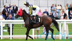 Spirit willing ally for Cox in search of Stonehenge prize