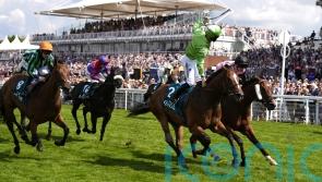 Jm Jungle pleases in final gallop ahead of Nunthorpe