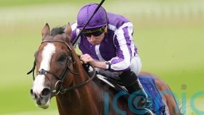 Diego Velazquez sold ahead of Jacques le Marois start