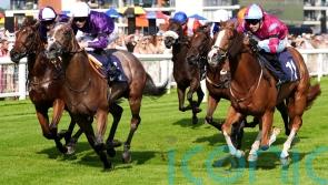 Hollywoood Treasure takes starring role at Newbury
