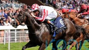 Richard Hughes no stranger to Nunthorpe success as he readies Sayidah Dariyan