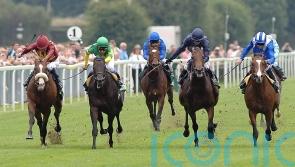 Sparks flew at York when Electrocutionist made it an Italian job