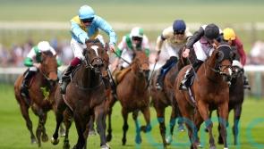 Jack Davison hoping for Group One breakthrough with She&rsquo;s Quality