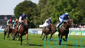 Ed Walker anticipating bold Lowther show from Royal Fixation