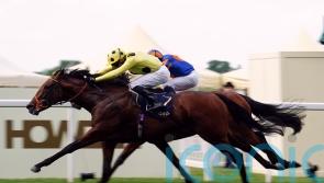 Rosallion ticking all the boxes ahead of City of York challenge