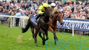 Lifeplan pounces in Gimcrack for Declan Carroll and Zak Wheatley