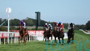 Precise moment comes with Prestige Stakes victory