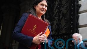 New cricket domes promised to open up the sport