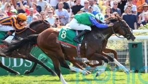 American adventure on the cards for Diego Velazquez