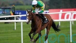 Cesarewitch hope A Dream To Share ineligible for Newmarket contest