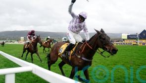 Golden Ace enjoying her summer and &lsquo;looks a million dollars&rsquo;