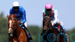 Publish aiming to stamp authority on classy Solario field