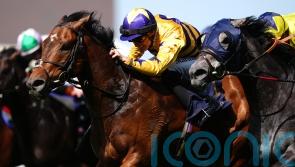 American Affair ruled out of Champions Day outing