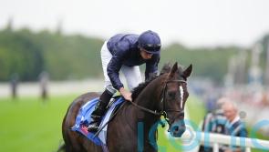 Lambourn given St Leger focus