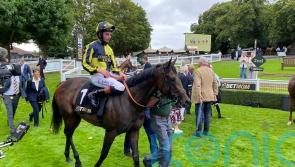 Clive Cox planning attack on big juvenile prizes with star pair