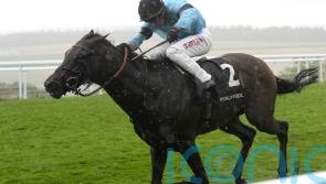 William Haggas &lsquo;gutted&rsquo; as setback scuppers Merchant&rsquo;s Arc hopes