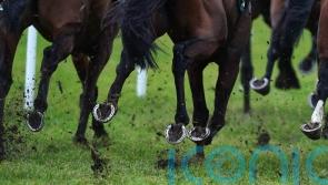 Trainer and rider charged over Hillsin run more than two years ago