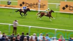 Zeus Olympios proves Superior to Haydock rivals