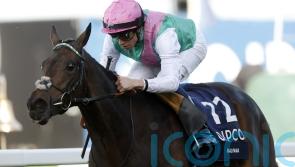 Kalpana not a certain Arc contender after Kempton defeat