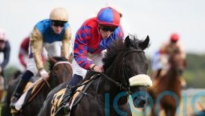 Big Mojo soars to Sprint Cup success