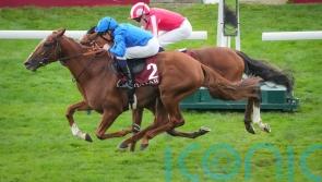 Cualificar denies Bay City Roller in Niel thriller