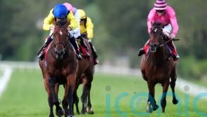 Conditions key to autumn target for Almaqam
