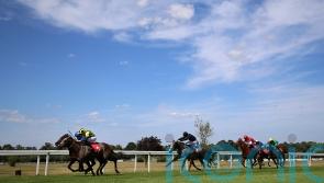 Injury forces early retirement for classy juvenile Staya