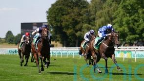 Venetian Sun aiming to shine again in Moyglare Stud Stakes