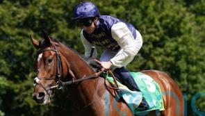 Royal Fixation has sights set on Cheveley Park gold