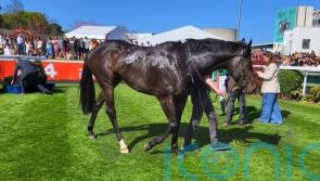 &lsquo;Weather-watch&rsquo; for leading Solonoway contender Alakazi