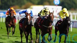 Avicenna swoops late for Flying Scotsman success