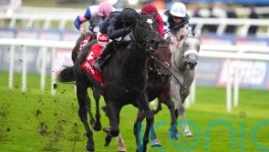 Puerto Rico loses maiden tag in Champagne Stakes