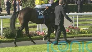 Spyce could add extra flavour to Futurity Trophy