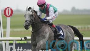 Field Of Gold &lsquo;very much on track&rsquo; to make QEII return