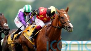 Montassib aiming to state Champions Day case at Newbury